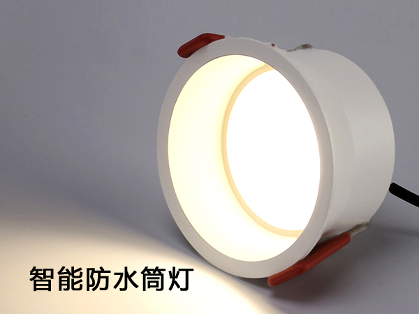 智能调光防水筒灯