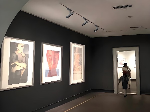 美术馆光影艺术新境界：专业级切光灯打造沉浸式展览体验